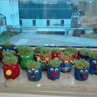 Aus Alt mach Neu: Kresseköpfe 