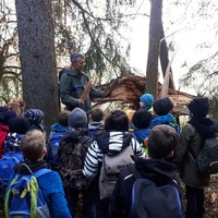 Ein Schultag im Wald