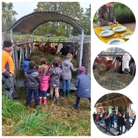 Was für ein schöner Schulvormittag