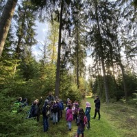 Schultag im Wald