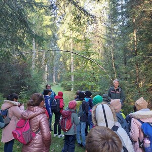 Unterrichtsgang in den Wald